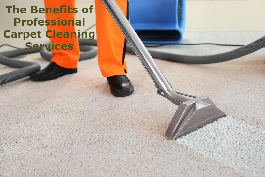 The Benefits of Professional Carpet Cleaning Services