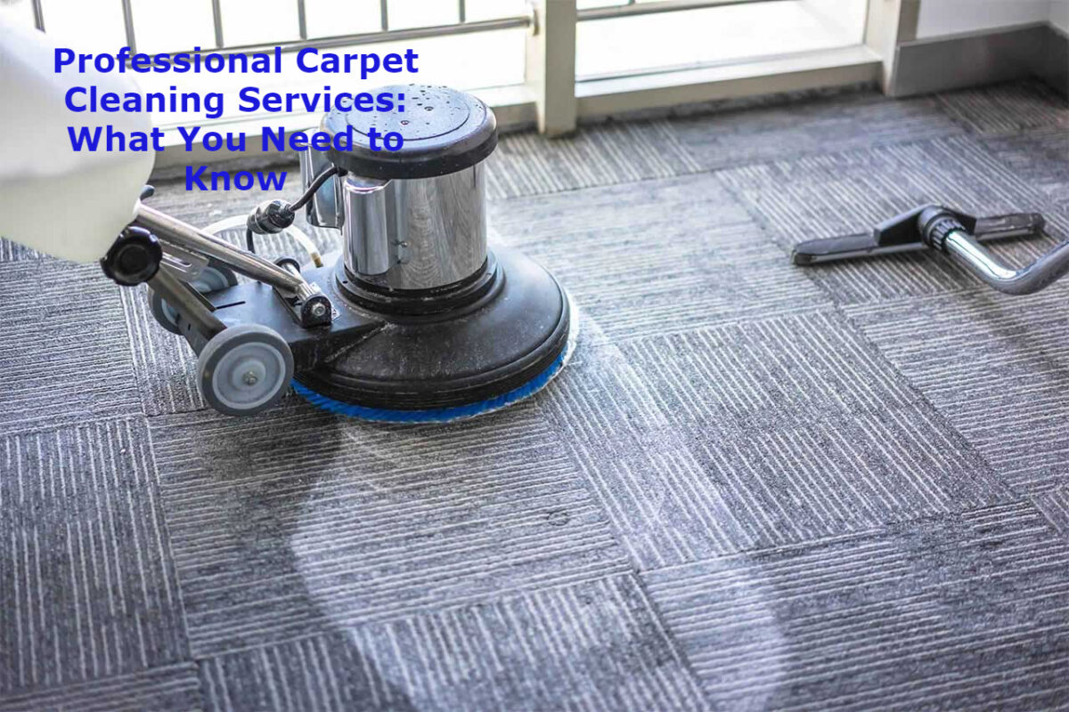 Professional Carpet Cleaning Services: What You Need to Know