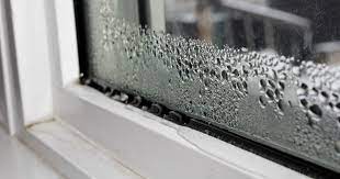 Dripping on Windows: Understanding, Preventing, and Resolving