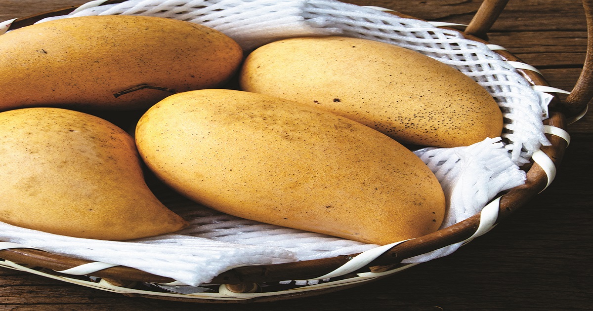 An image of Best Pakistani Mangoes Online