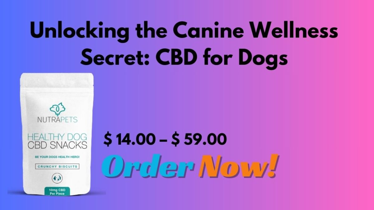 CBD for dogs