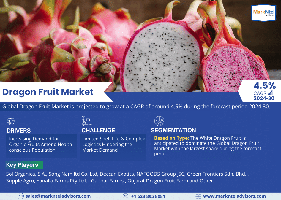 Dragon Fruit Market Growth, Share, Trends Analysis, Revenue, Key Players, Business Opportunities and Forecast 2030: Markntel Advisors