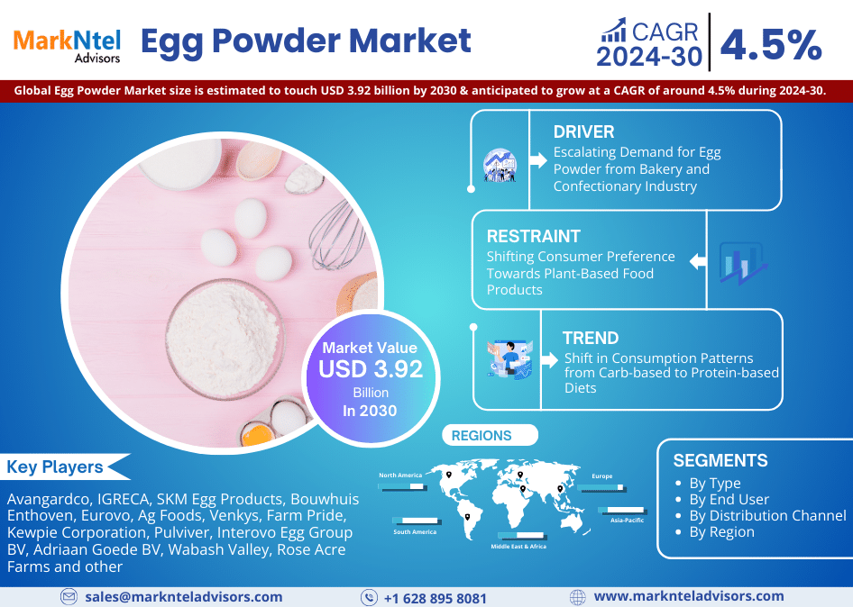 Egg Powder Market Estimated to touch USD 3.92 billion by 2030, and Anticipates to Grow 4.5% CAGR from 2024-2030