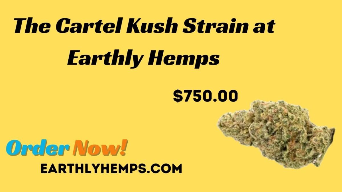 The Cartel Kush Strain at Earthly Hemps