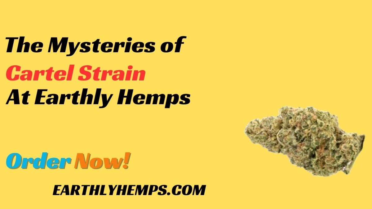 The Mysteries of Cartel Strain At Earthly Hemps