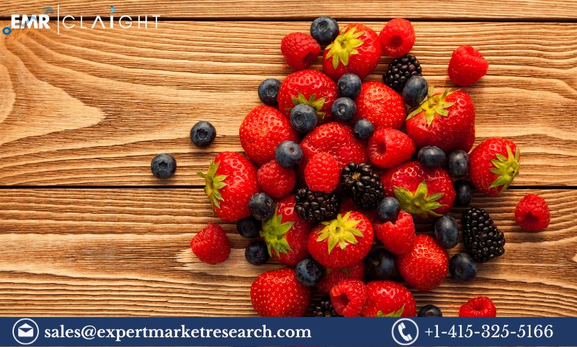 United Kingdom Berries Market Size, Share, Price And Report 2024-2032