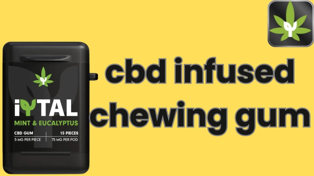 cbd infused chewing gum