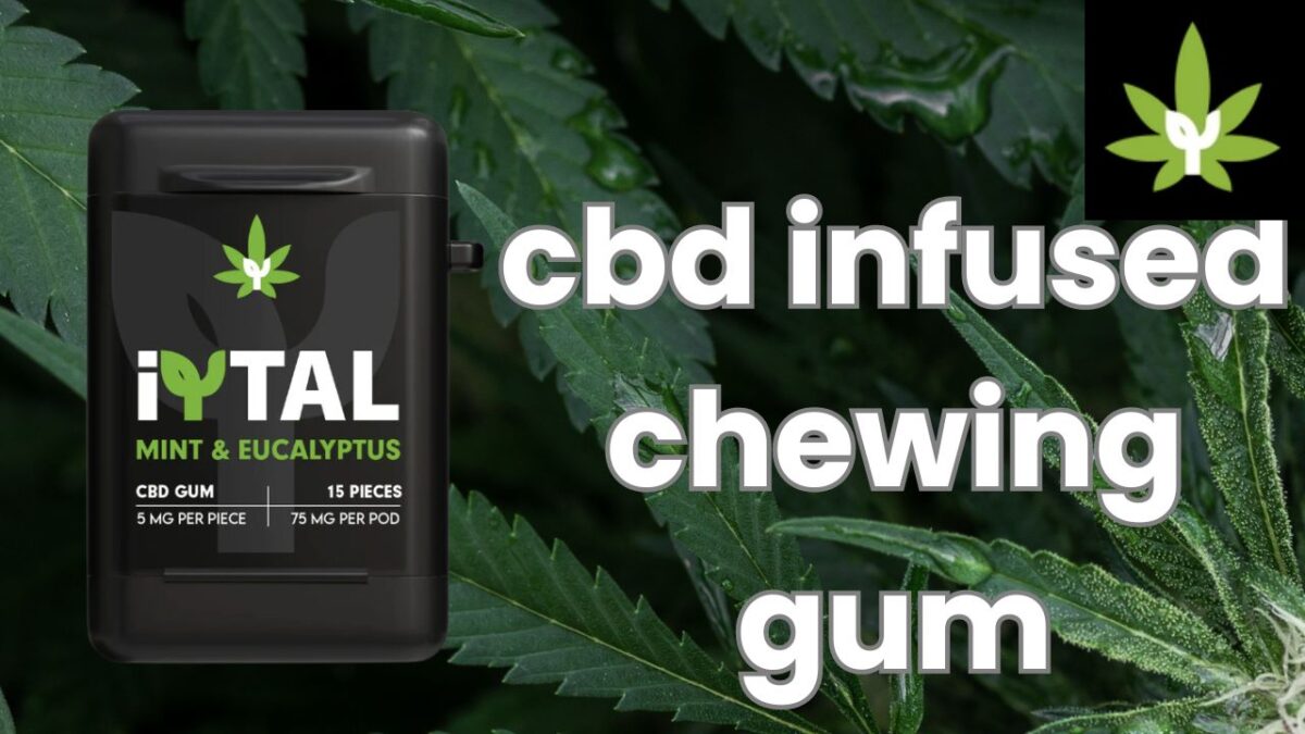 The Rise of CBD Infused Chewing Gum on iYTAL