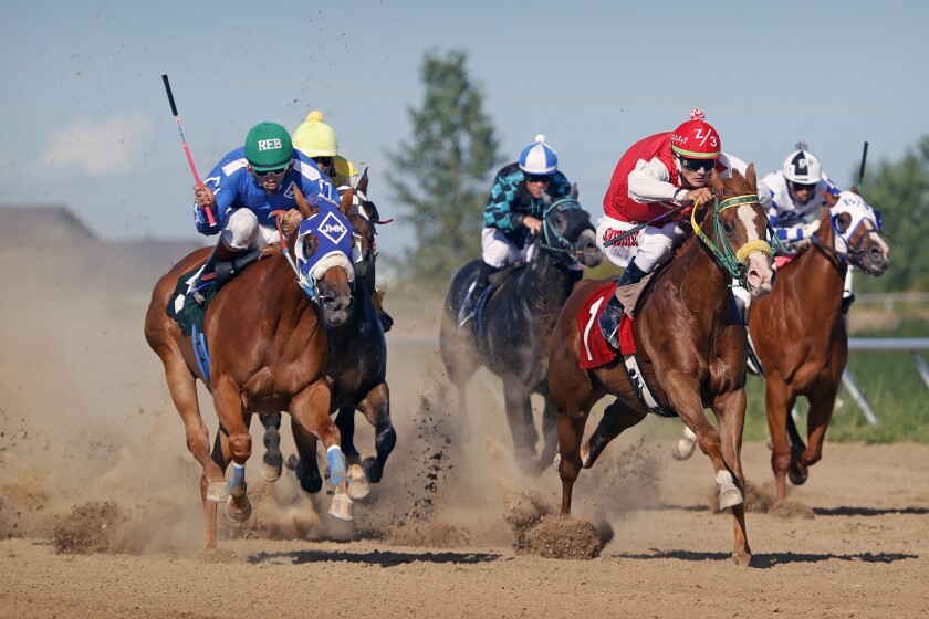 “Racing to Glory: Uncover the Thrills of Horse Racing”