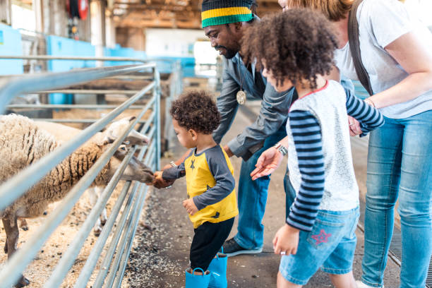 Where Can You Find the Best Farm Visits?