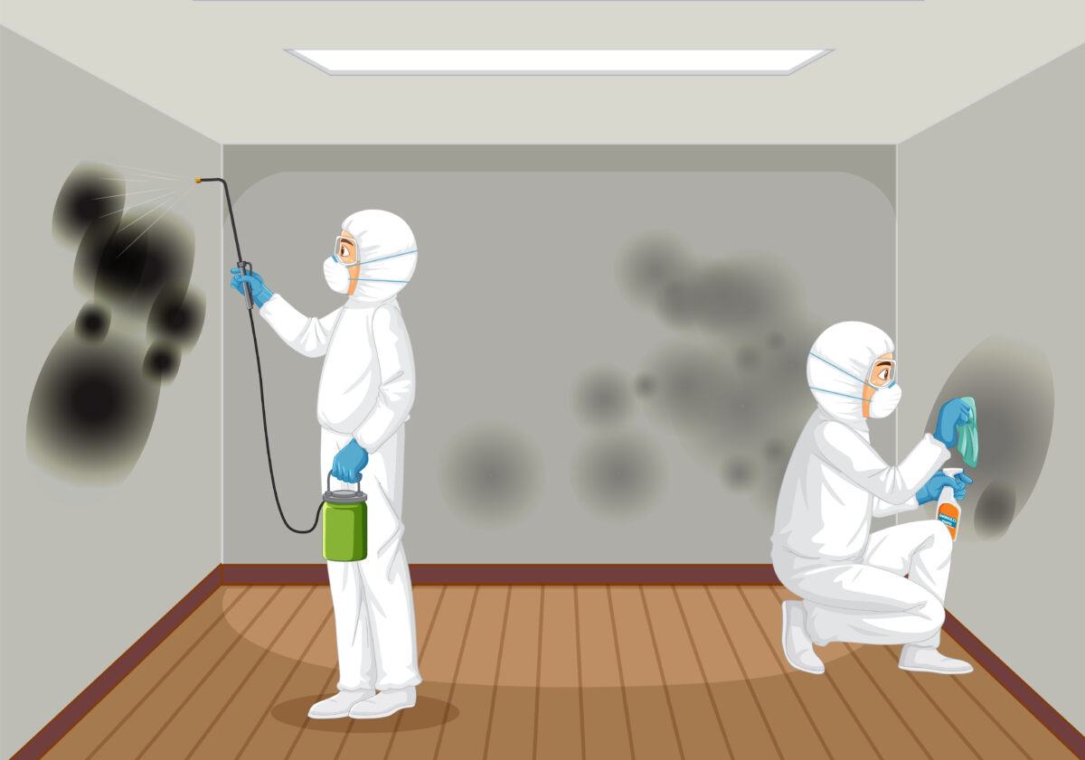 mold testing