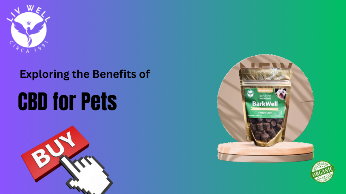 Exploring the best Benefits of CBD for Pets