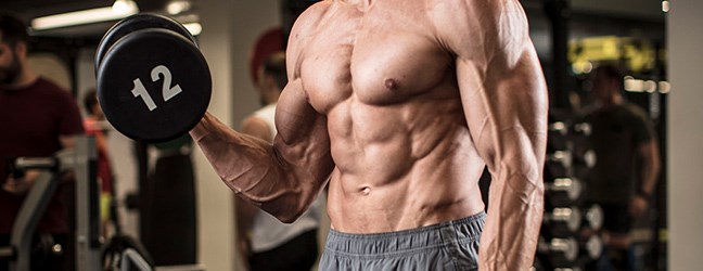 Creatine And Protein Is Part Of Body Building