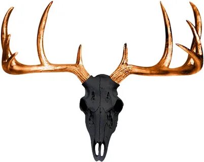 Deer Antlers in Business: Beyond Aesthetics to Commercial Triumph