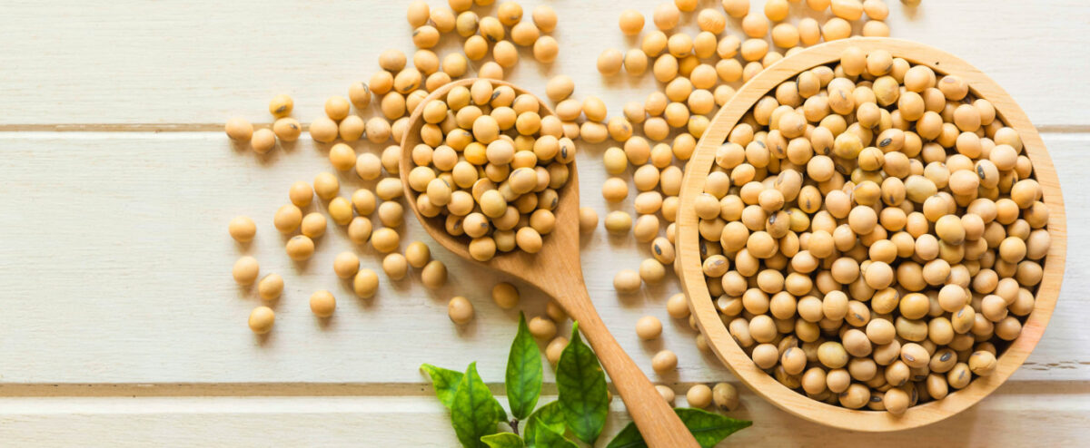 Soybean Dietary Information And Health Effects