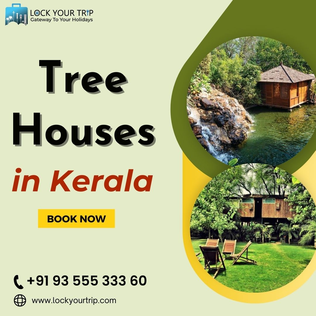 Elevated Serenity: Exploring the Enchanting World of Tree Houses in Kerala