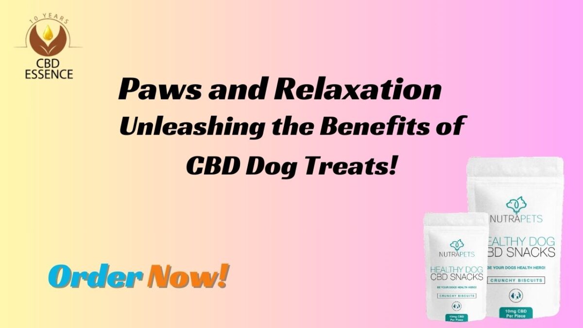 Unleashing the Benefits of CBD Dog Treats! Paws and Relaxation