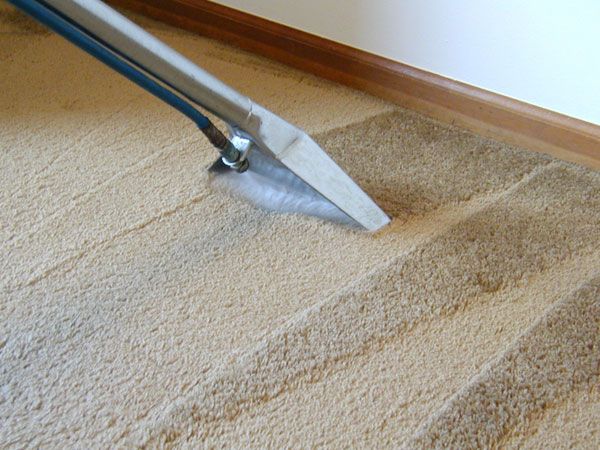 Unlocking the Benefits: End of Lease Carpet Cleaning in Sydney