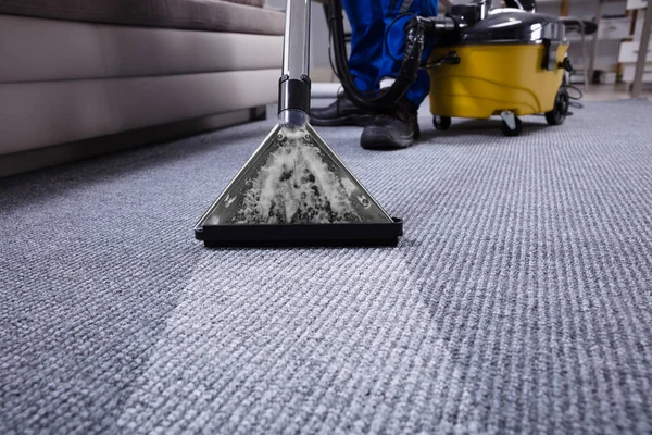 The Importance of Regular Carpet Cleaning Services for a Healthy Home