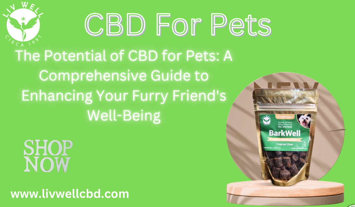 A Comprehensive Guide to Enhancing Your Furry Friend’s Well-Being