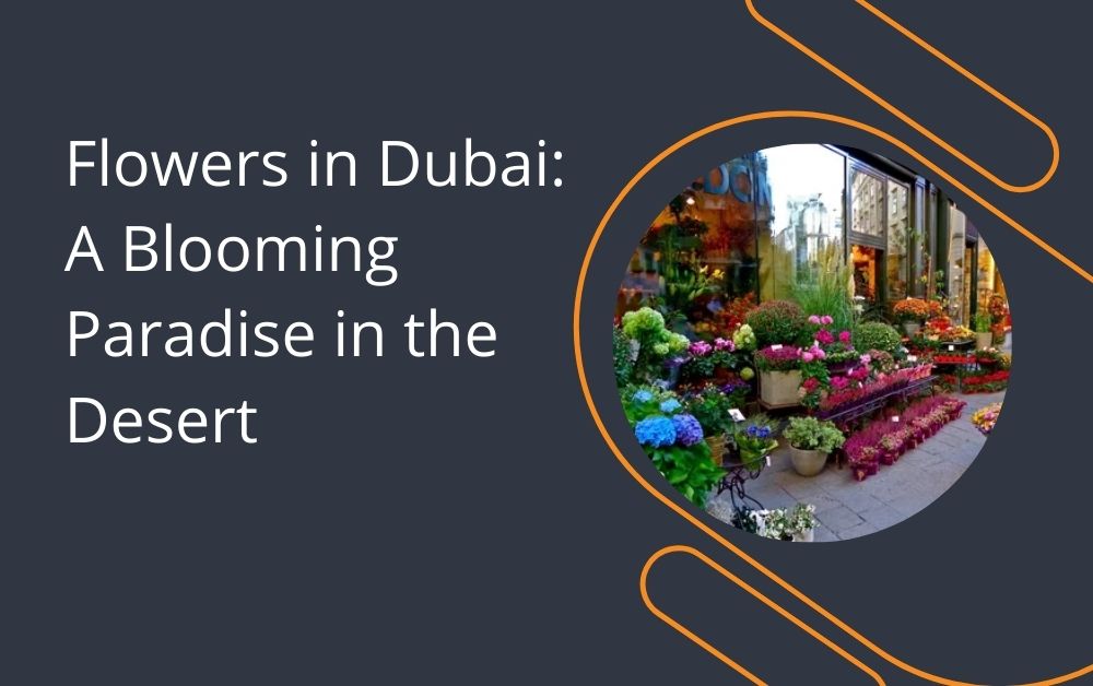 Flowers in Dubai: A Blooming Paradise in the Desert