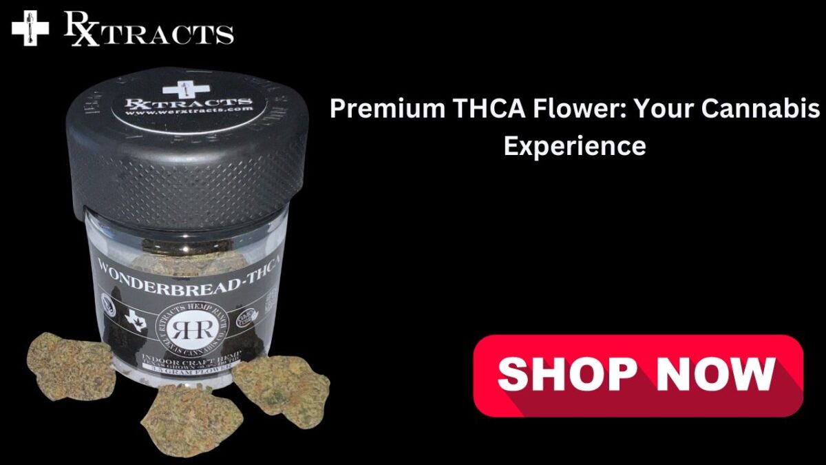 Premium THCA Flower: Your Cannabis Experience