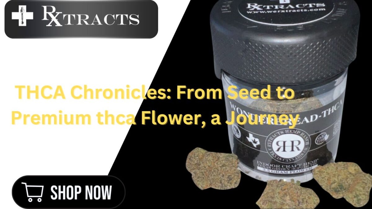 THCA Chronicles: From Seed to Premium thca Flower, a Journey