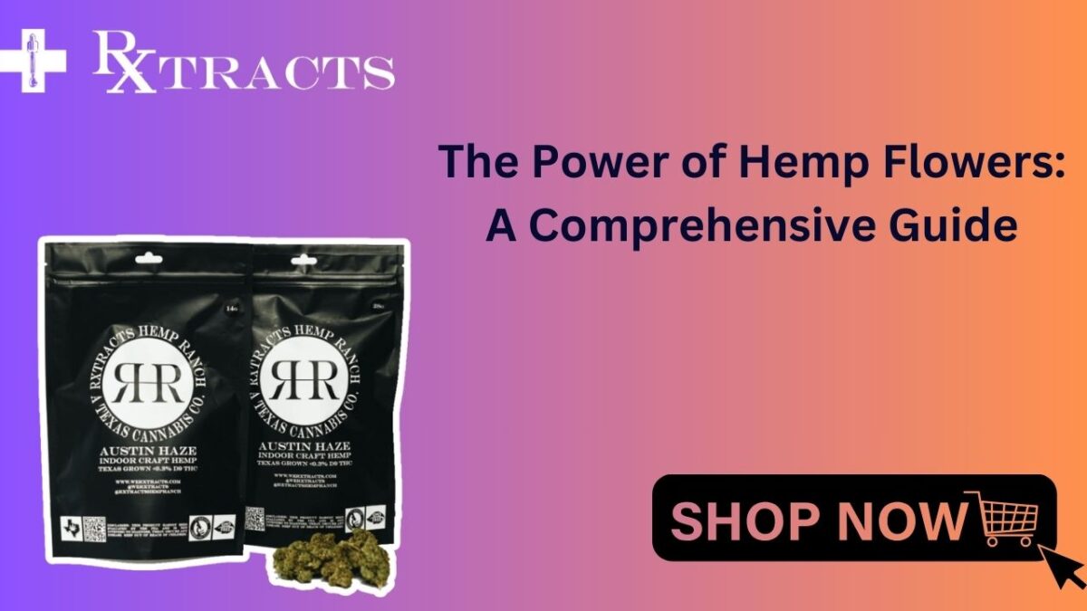 The Power of Hemp Flowers A Comprehensive Guide