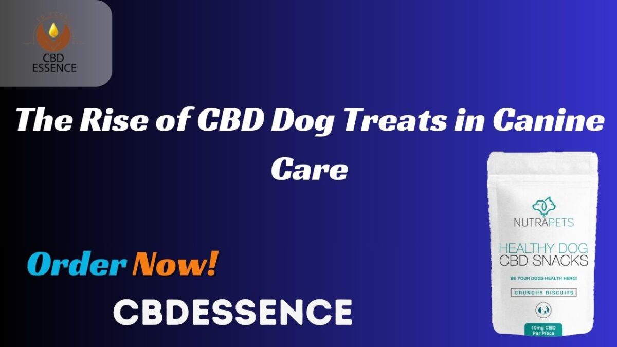 The Rise of CBD Dog Treats in Canine Care