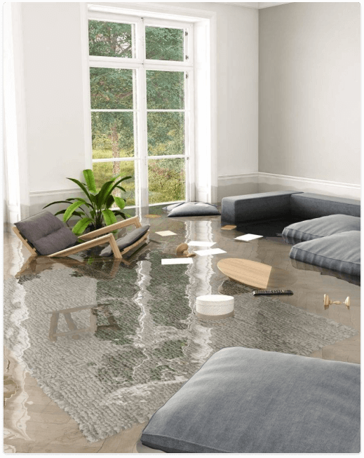 Premier Water Damage Restoration Services in Bothell