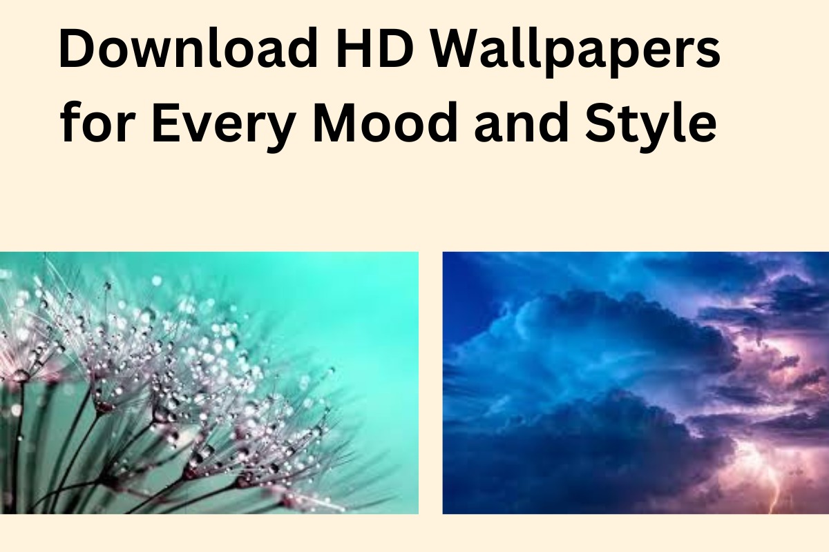 Enhance Your Digital Experience: Download HD Wallpapers for Every Mood and Style