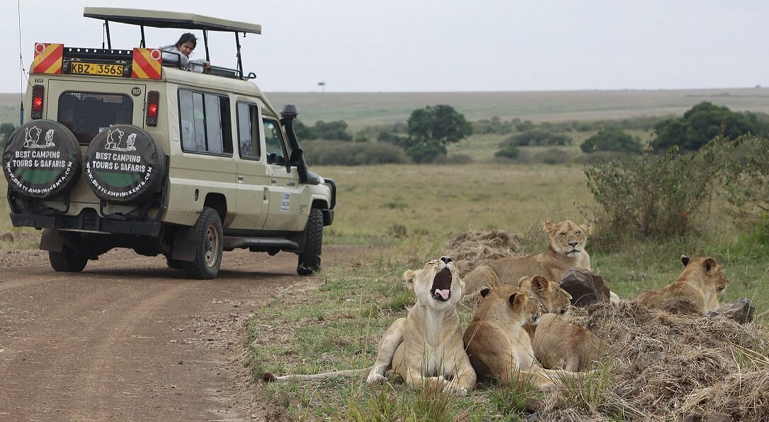 Why Kenya Safaris Should Be on Your Bucket List