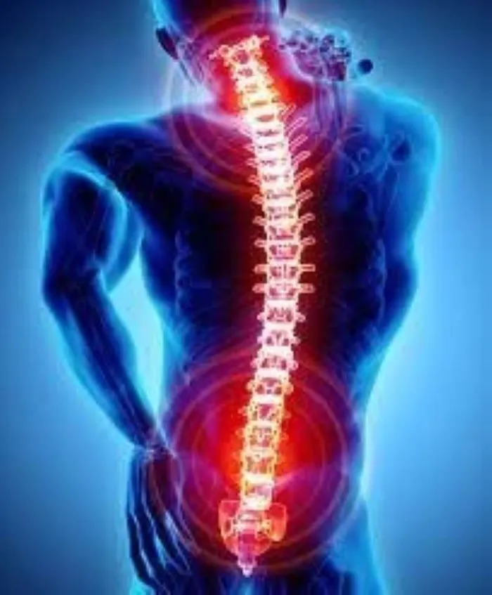 What are the common causes of back pain?