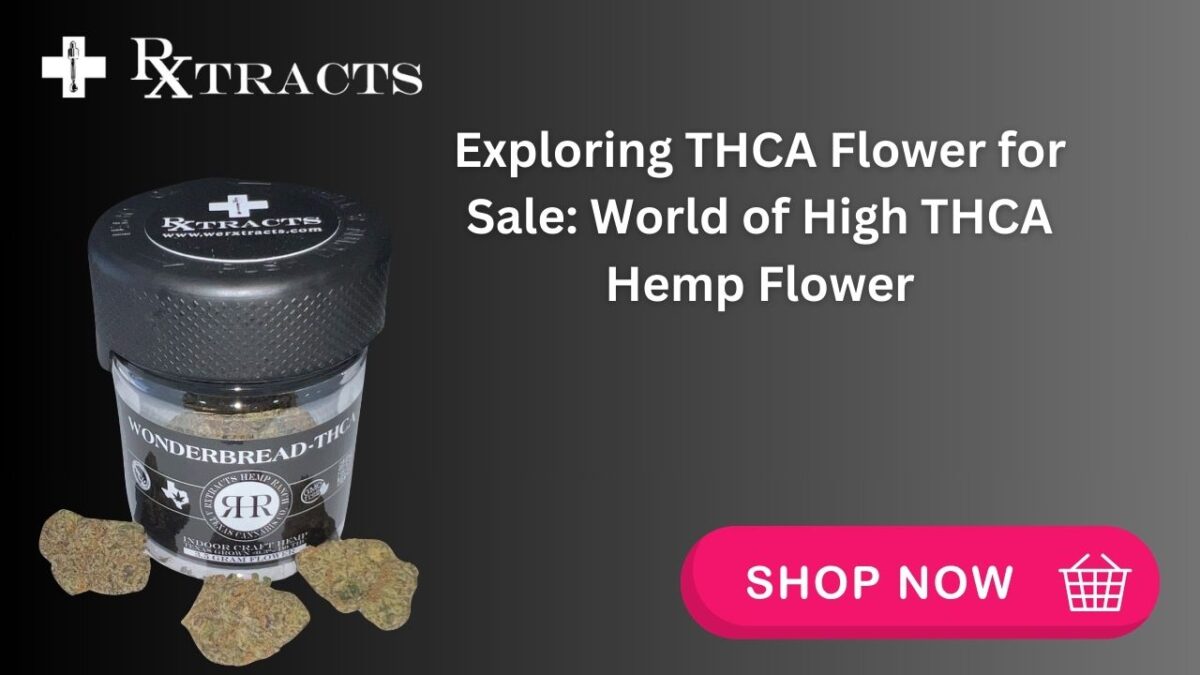 Exploring THCA Flower for Sale World of High THCA Hemp Flower