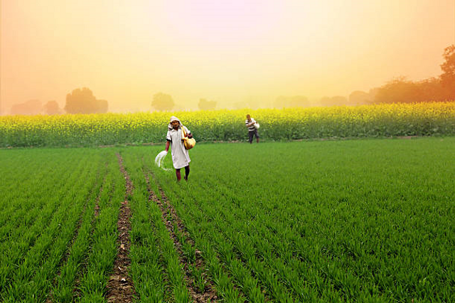 Modern Indian Agriculture