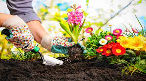 gardening overalls