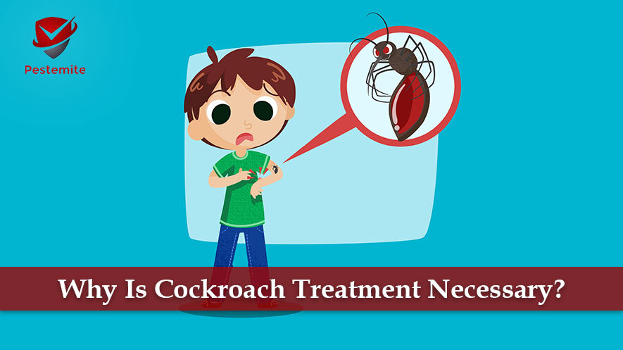 Why Is Cockroach Treatment Necessary for your home?