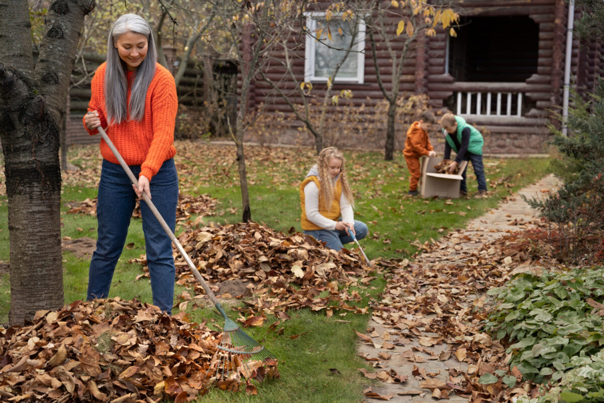 How to Identify When a Tree Needs Removal