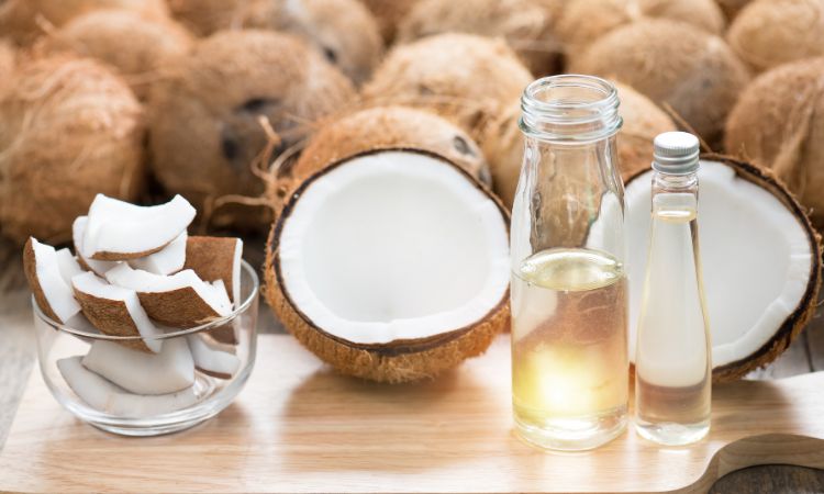 Coconut Extracts Market: A Natural Superfood Taking the World by Storm