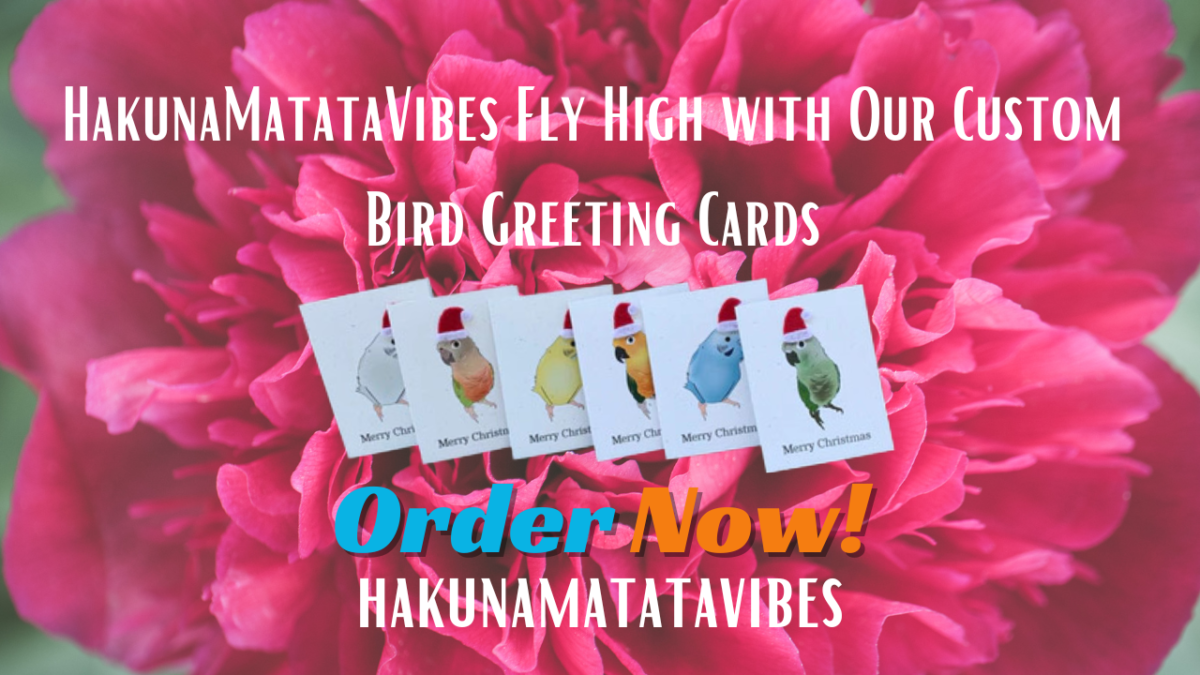 HakunaMatataVibes Fly High with Our Custom Bird Greeting Cards