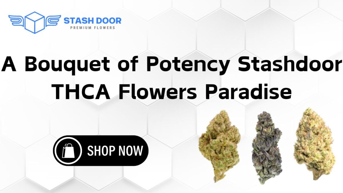 A Bouquet of Potency Stashdoor THCA Flowers Paradise
