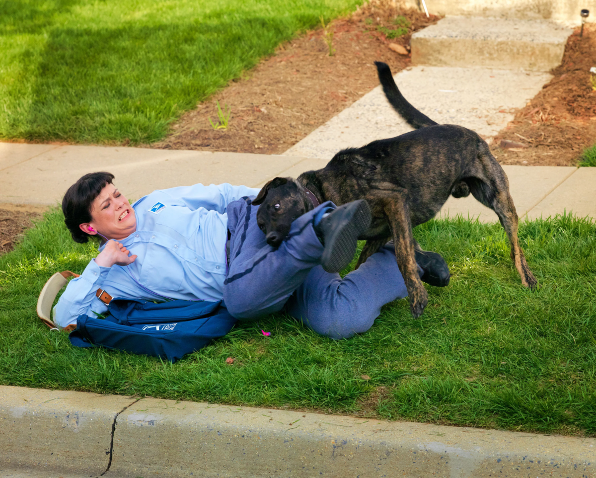 Prioritizing Safety Effective Strategies for Employee Dog Bite Prevention