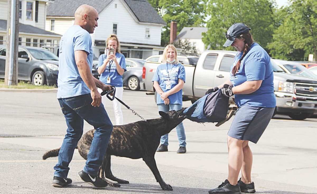 package carrier dog bite prevention