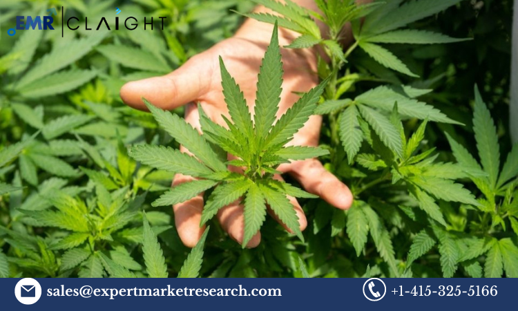 United States Medical Cannabis Market Size, Share, Trends 2024-2032