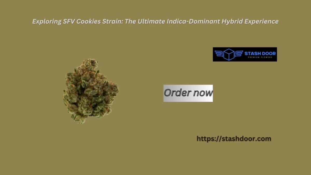 Exploring SFV Cookies Strain: The Ultimate Indica-Dominant Hybrid Experience