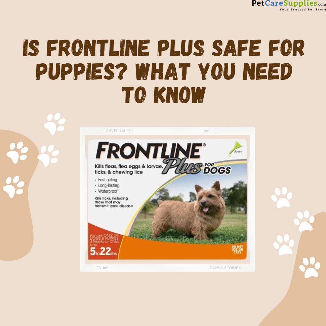 Is Frontline Plus Safe for Puppies? What You Need to Know