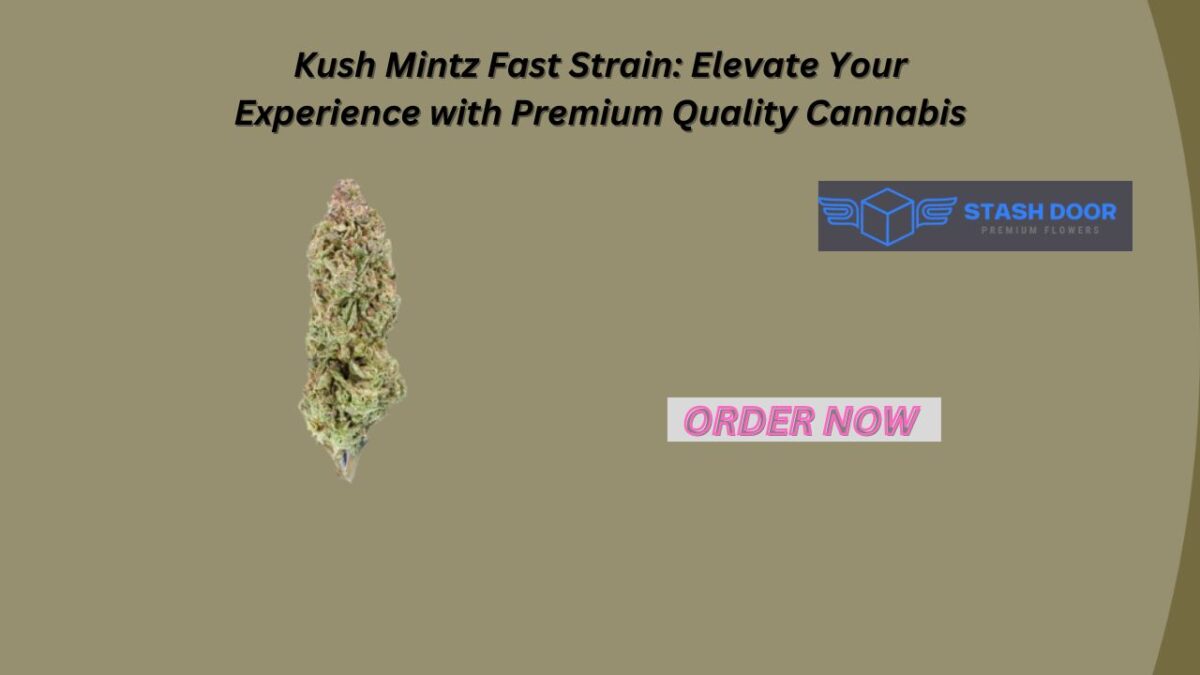 Kush Mintz Fast Weed: Elevate Your Experience with Premium Quality Cannabis