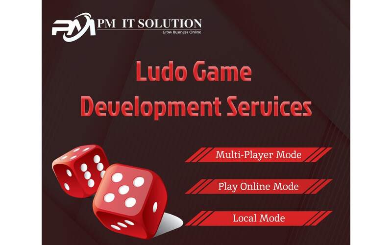 Don’t Settle for Less: Finding a Quality Ludo Game Development Company