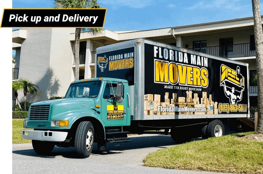 Professional Movers in Tampa: Excellence in Every Move