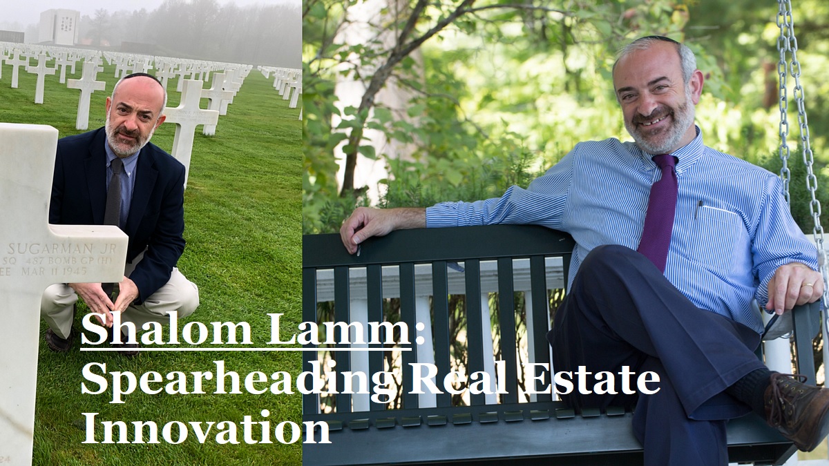 The Dynamics and Strategies of Shalom Lamm in Real Estate